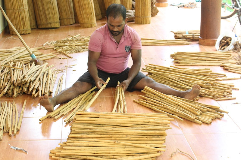 Ceylon Zimt gemahlen