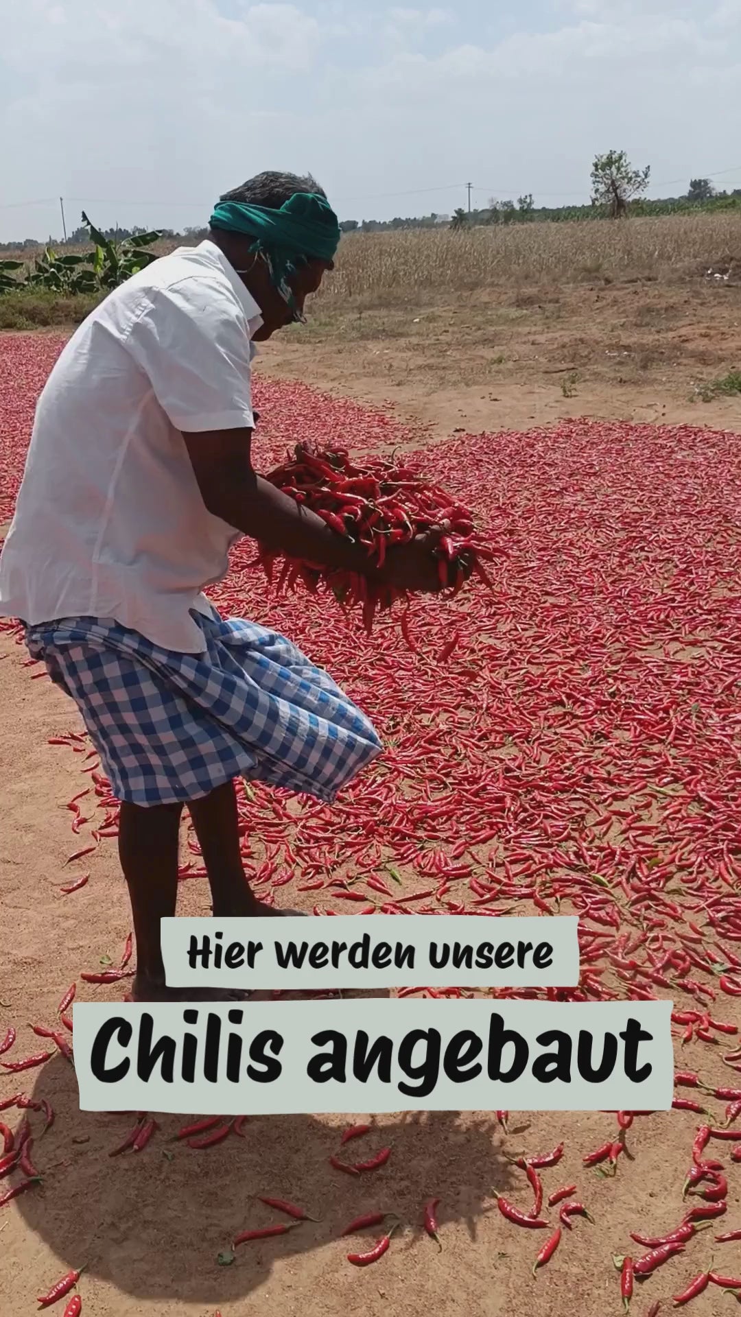 Video laden: 